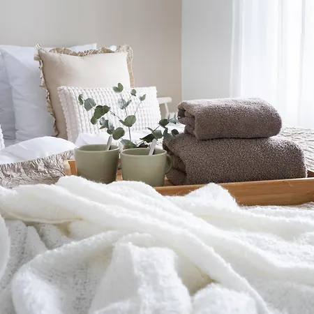 Frost Hosted By Hygge Host * Rovaniemi